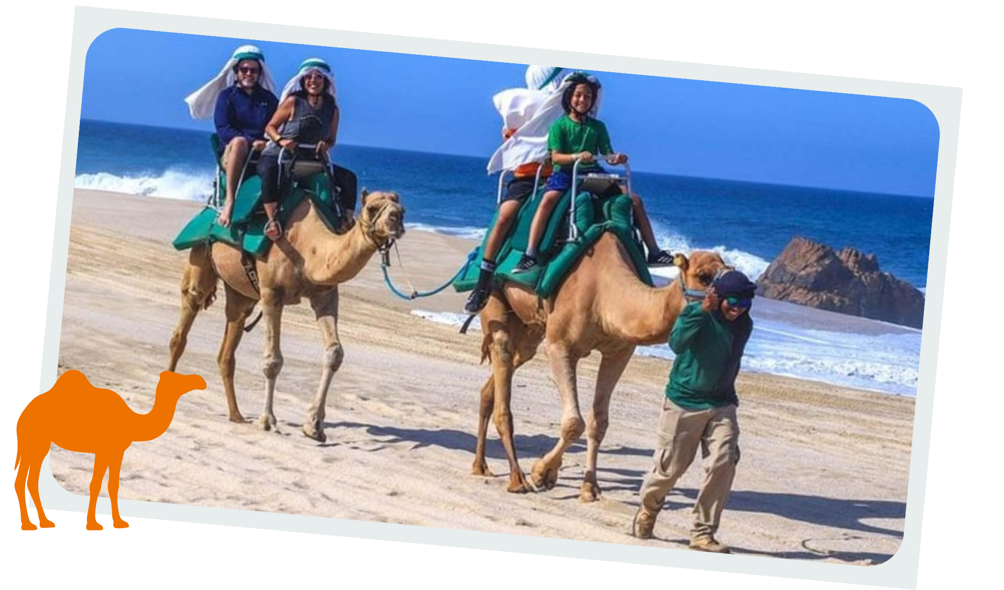 Chameaux au Maroc Ballade